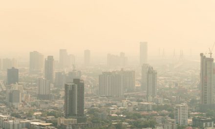 Luftverschmutzung triggert Entzündungen