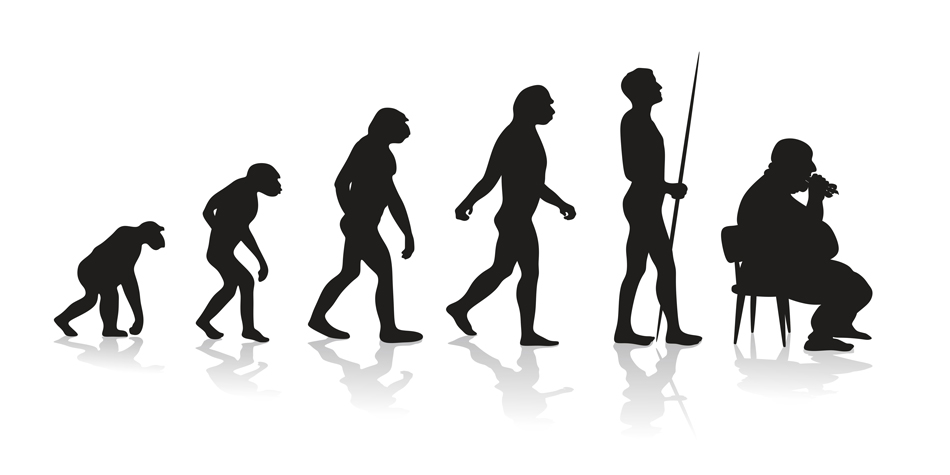 Neues zur Entwicklung von Adipositas