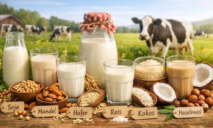 Pflanzenbasierte Drinks – ein gleichwertiger Milchersatz?