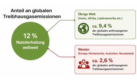 Umwelt und Fleisch: Tunnelblick auf CO₂?