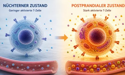 Essen steuert Immunzellen