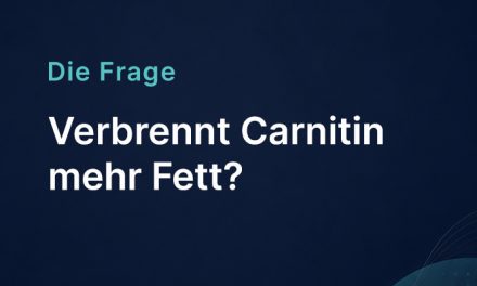 Verbrennt Carnitin mehr Fett?