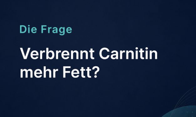 Verbrennt Carnitin mehr Fett?
